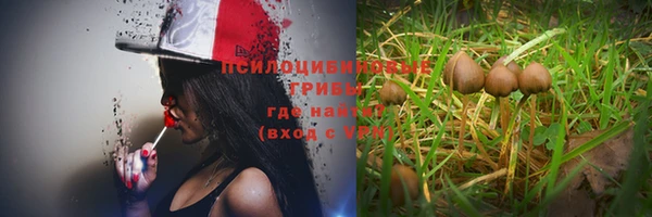 а пвп мука Балахна