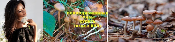 а пвп мука Балахна