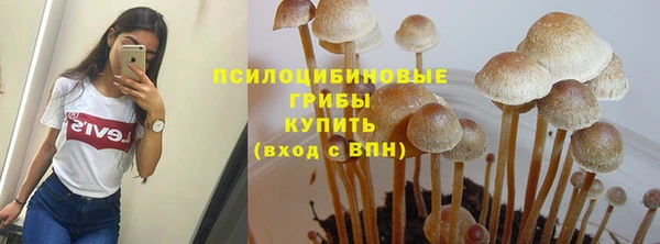 дживик Баксан