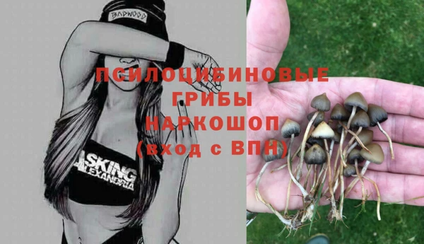 дживик Баксан